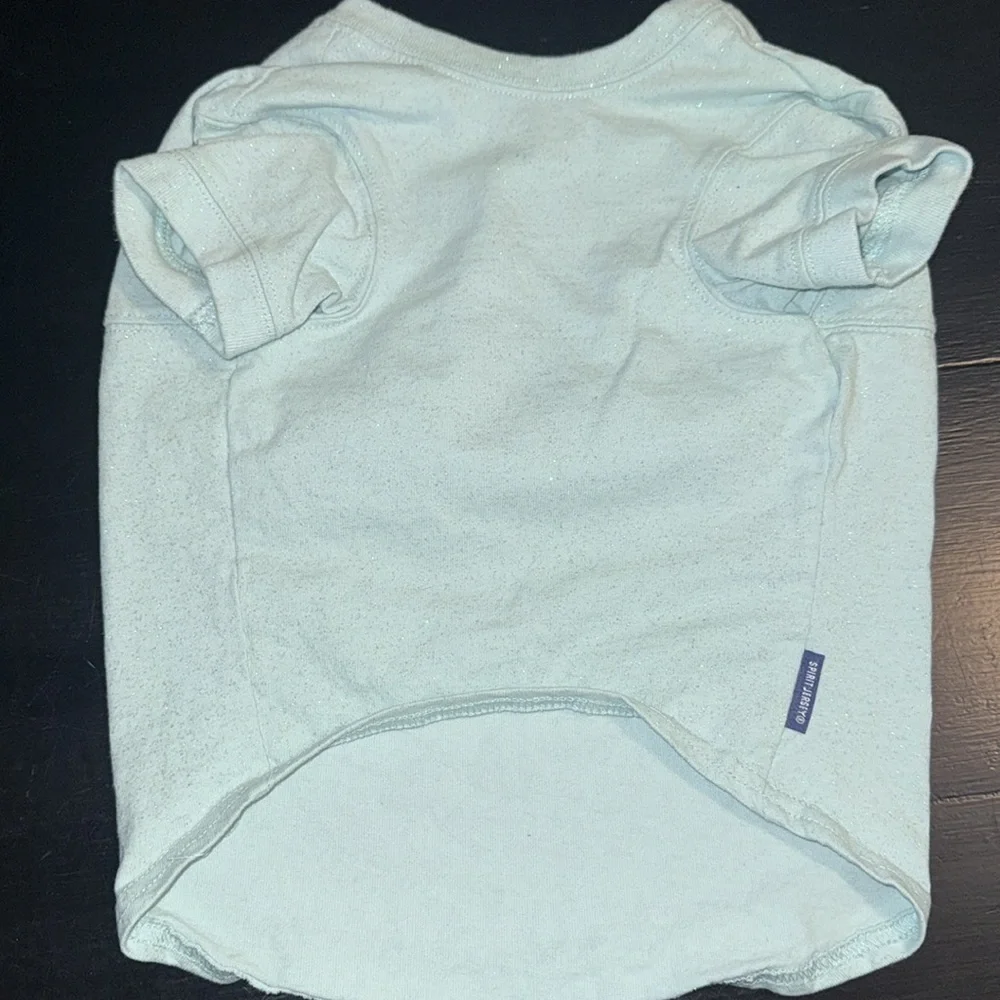Walt Disney World, dog‎ spirit jersey
